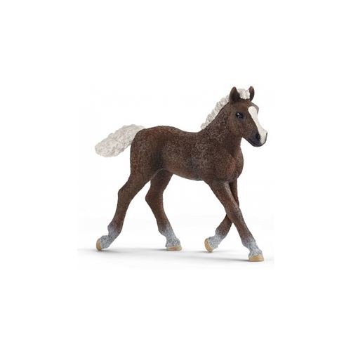 Schleich Marron 13899 Poulain Foret Noire - Image 1