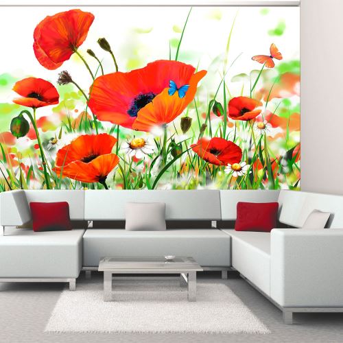 Papier peint - Country poppies - Décoration, image, art | Fleurs | Coquelicots |