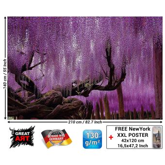 Scarica Gratis Images Glycine Papier Peint De Photo Papilionacee Tableau Murale Xxl actualisé par