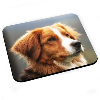 Tapis de souris Beau chien marron et blanc poil long exterieur mignon - 1