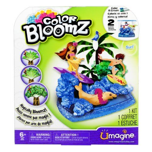 Color Bloomz - Kit d'activités de surf