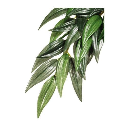 Meilleurs prix pour exo terra plante ruscus - grand modele - pour terrarium