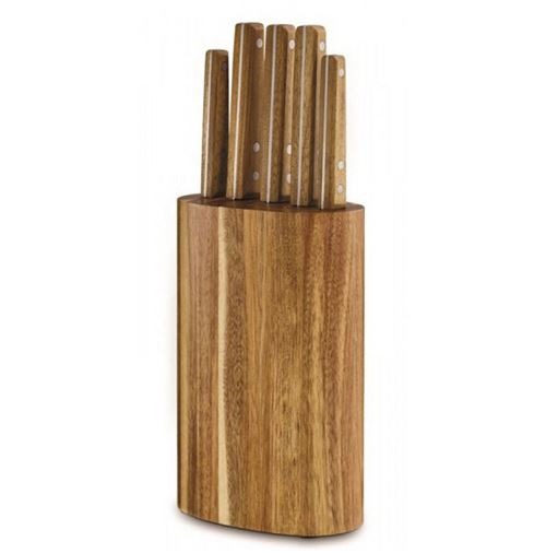 bloc de 5 couteaux inox - 13970984