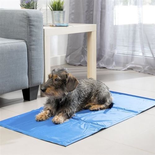 Comparer les prix de INNOVAGOODS Tapis de refroidissement - 90 x 50 cm - Pour chien