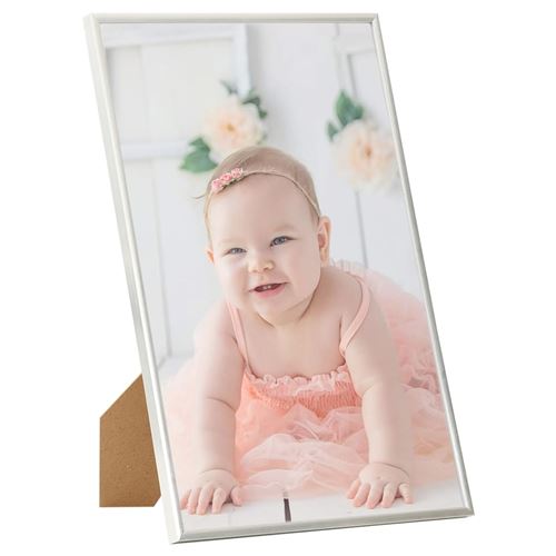 vidaXL Collage de cadres photo 5 pcs de mur table Argenté 15x21 cm MDF