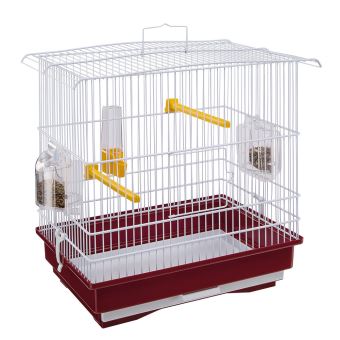 Ferplast Cage Pour Canaris Et Petits Oiseaux Exotiques Giusy Cage Rectangulaire Pour Oiseaux équipée Daccessoires Et Mangeoires Tournantes Métal