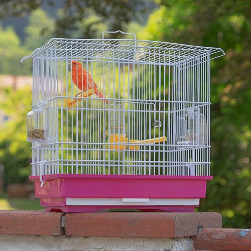 Ferplast Cage Pour Canaris Et Petits Oiseaux Exotiques Giusy Cage Rectangulaire Pour Oiseaux équipée Daccessoires Et Mangeoires Tournantes Métal