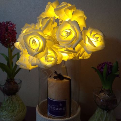 Eclairage LED Guirlande/Décoration LED 3m forme de rose prise USB romantique LED chaîne vacances lumière, lampe décorative fée de style adolescente 20 LED pour Noël, mariage, chambre à coucher (blanc chaud)