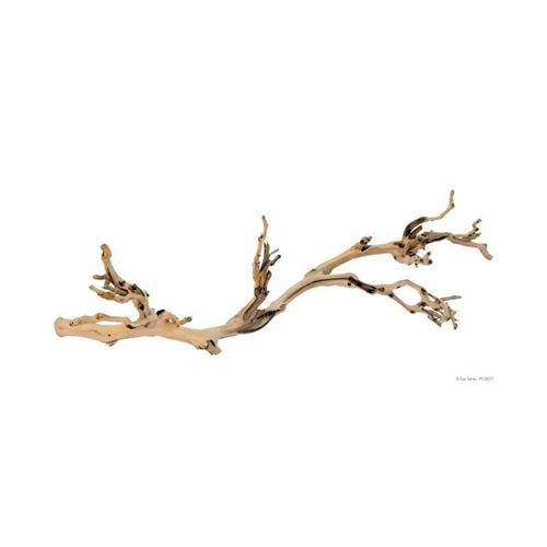 Comparer les prix de EXO TERRA Decoration Pied de vigne sable - Grand modele - Pour terrarium