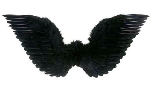 Ailes d'Ange Oiseau Noir