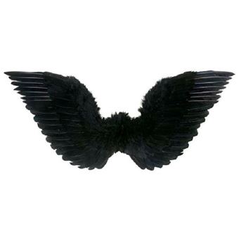 Ailes D Ange Oiseau Noir Accessoire De Deguisement Achat Prix Fnac