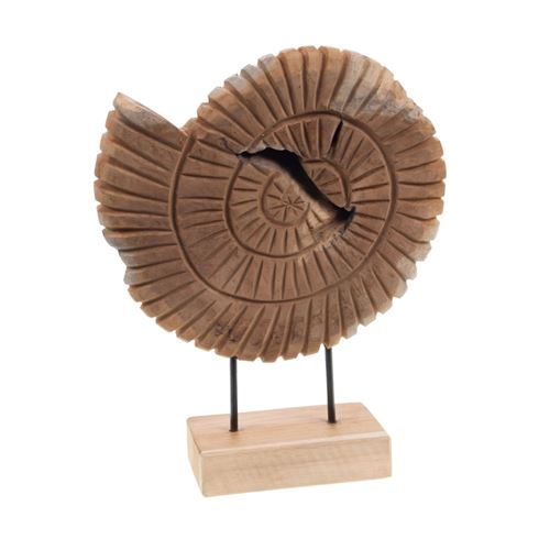 Non Communiqué Marron Décoration Coquillage En Bois - Amadeus