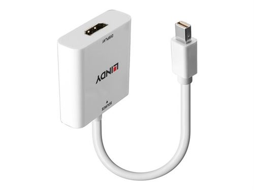Lindy - Adaptateur vidéo - DisplayPort mâle pour HDMI femelle - 18 cm - noir - prise en charge de 1920 x 1080 à 60 Hz