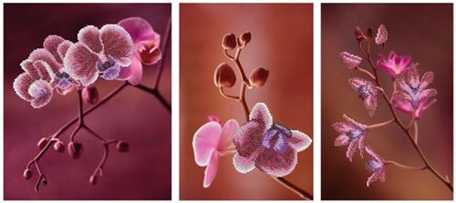 Rosa Orchideen-zweig, Perlenstickset - Miniart Crafts