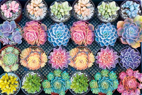 Puzzle Plantes succulentes 1000 pièces enfants adultes jouet de modèle de cadeau de vacances - Multicolore