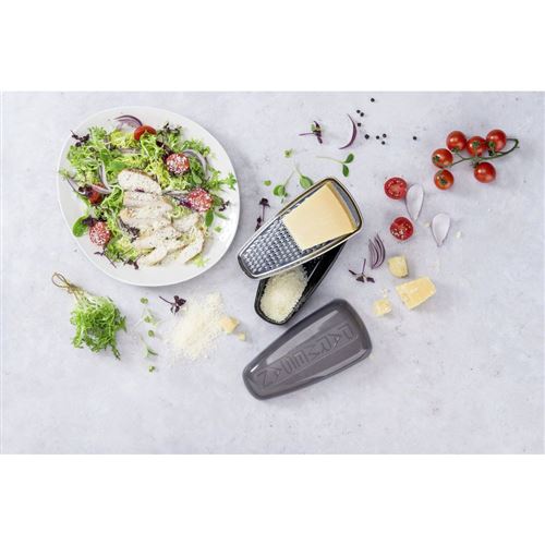 Fackelmann 45463 râpe à parmesan avec boîte acier inoxydable pp transparent  noir argent 19 x 9,5 x 7 cm - Accessoire de cuisine - Achat & prix