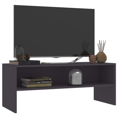 vidaXL Meuble TV Gris 100 x 40 x 40 cm Aggloméré