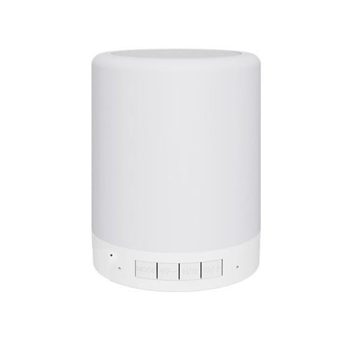 Ebiz Camera Espion WiFi HD avec Enceinte Bluetooth et Lampe