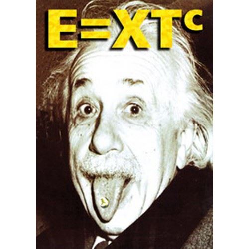 Albert EINSTEIN - 61x91,5 cm - AFFICHE / POSTER