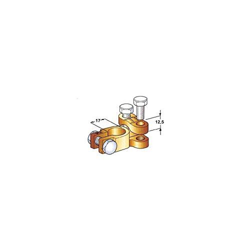Borne polaire de batterie normale/moins