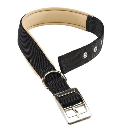 Comparer les prix de FERPLAST Daytona C25/53 - collier pour chien, noir