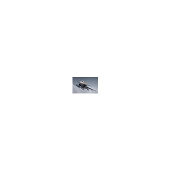 French Rafale C - 1:144e - Trumpeter - 1