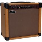 Ampli électro-acoustique Woodbrass BARROW 40W