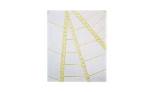 Avery Zweckform T4811 - Papier - Adhésif Permanent - Blanc - 48.8 X 125 Mm 3000 Étiquette(S) Étiquettes En Accordéon