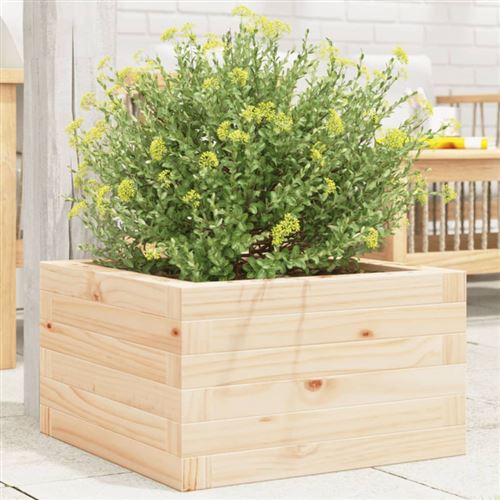 Vidaxl Jardinière Pin Massif 40 Cm - Image 3