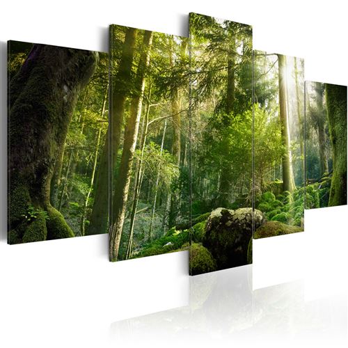 Tableau - Beauté de la forêt - Décoration, image, art | Paysages | Forêt |