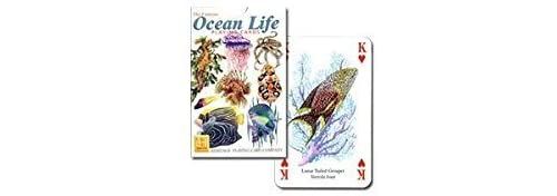 [World of colorful sea] Ocean Life P0040 (japan import)