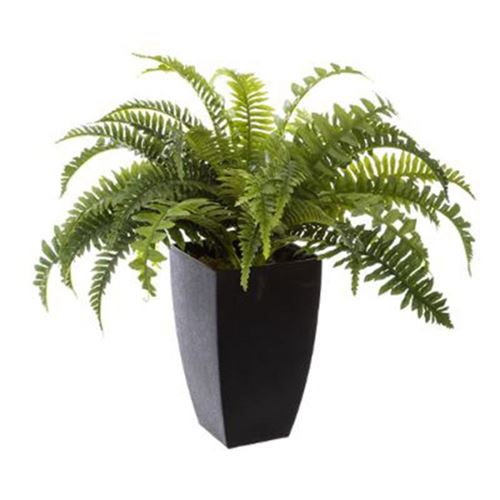 Atmosphera Foug&egrave;re artificielle, H55 cm  - Ivoire