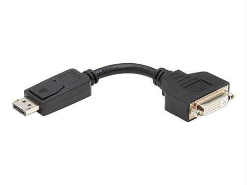 Tripp Lite 6in Displayport to DVI Adapter Video Converter DP-M to DVI-I-F 6 - carte d'écran - 15 cm