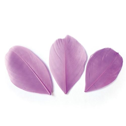 50 plumes coupées - Mauve 6 cm