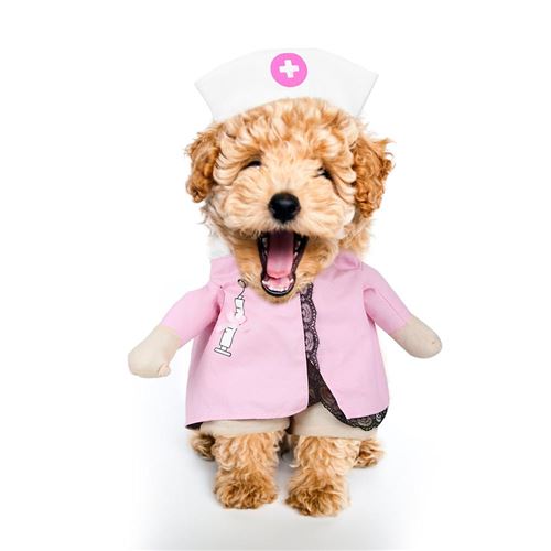 Drôle Vêtements Costume pour animaux manteau Halloween Vêtements cosplay mignons habiller chat chien chiot (infirmière XL)