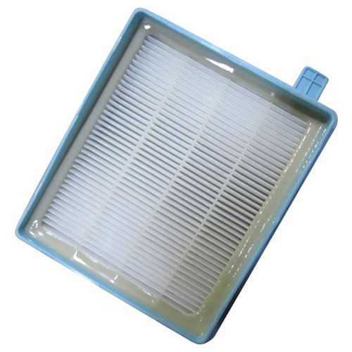 Filtre Hepa Aspirateur 432200493801 Philips - 296924