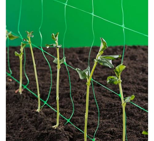 Nature Filet pour plantes grimpantes Vert 1 x 10 m 6030429