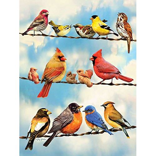 Cobble Hill Birds on a Wire