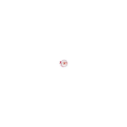 Emsa Rouge Clip Close Verre Boite Rect 0.8L + Diviser - N1040700 - Image 3