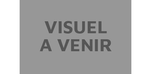 Numero d art lignes colorees portraits Harry Potter moyen modele