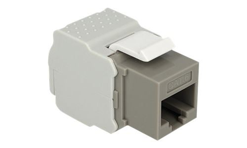 Delock Keystone module - Modulair insteeksel - RJ-45 - grijs