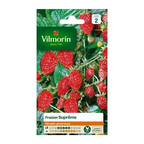 vilmorin fraisier des 4 saisons supreme