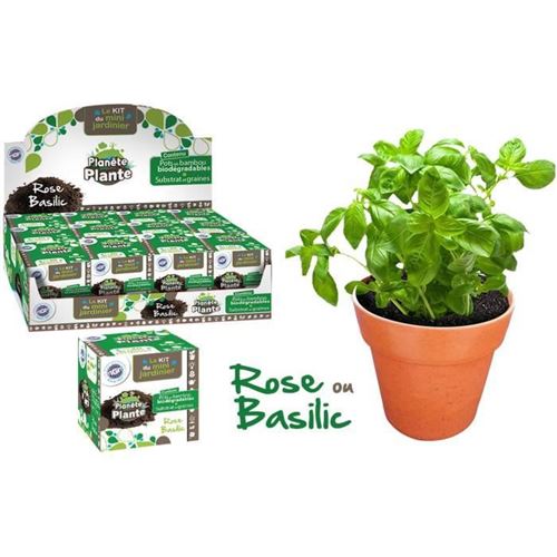 Lot de 12 pots en bamboo avec graines et substrat - roses ou plantes mgm mgm