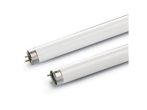 Tube 8W T5 lumière du jour (0000019)