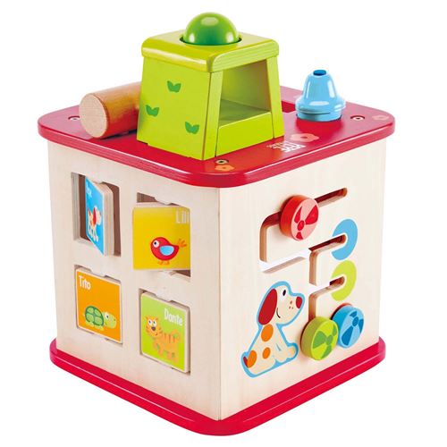 HAPE CUBE D'ACTIVITES PUPPY ET SES AMIS