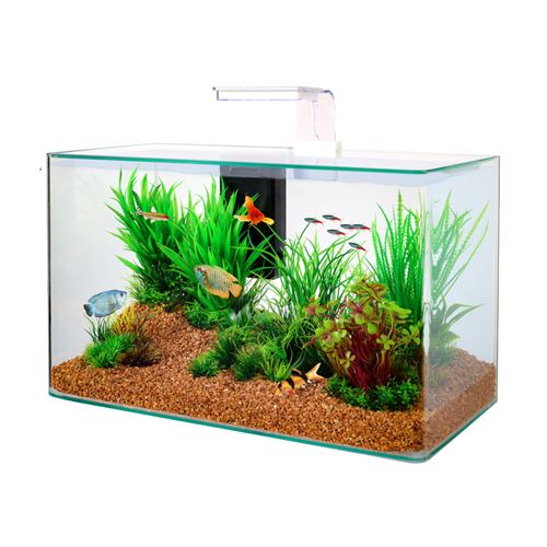 Comparer les prix de Zolux - Kit aquarium Aqua clear 50 Blanc