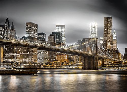 Puzzle adulte - vue sur la ville de new-york la nuit - 1000 pieces - collection ville des etats-unis