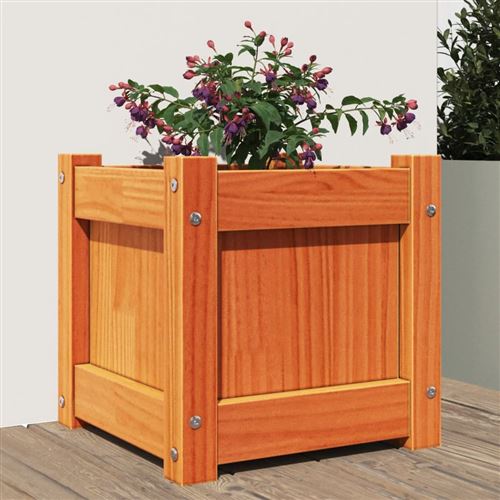 Vidaxl Marron Jardinière Cire 31X31x31 Cm Bois De Pin Massif837398 - Image 2