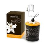 Bougie décorative parfumée rechargeable néroli 170 g - Esteban - -