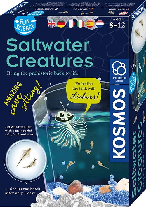 Kosmos ensemble expérimental Saltwater Creatures junior